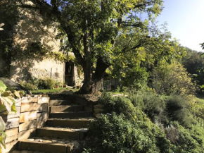 ASPET Ancienne étable